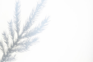 shadow from a christmas tree branch on a white-gray background of a textured surface of a wall or table. space for text