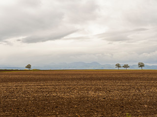 Paysage de la plaine de la grande Limagne en Auvergne, en automne,  entre Gannat en Allier et Riom dans le Puy-de-Dôme avec la chaine des Puys à l'horizon