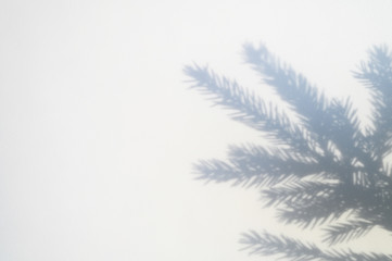 shadow from a christmas tree branch on a white-gray background of a textured surface of a wall or table. space for text