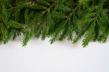 christmas tree branches frame on a white background. space for text