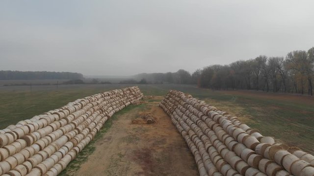 Flight over crop wheat or rye field with stook hay straw bales. Harvest agriculture farm rural aerial 4k video background. Bread production concept.