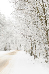 snow covered road in the snowy winter forest. vertical image