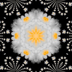 Kaleidoscope 2 Edit with White Flowers