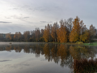 early autumn morning, white mist over water and ground, beautifully colored and blurred tree silhouettes in the background