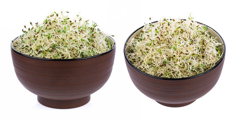heap of alfalfa sprouts on white background