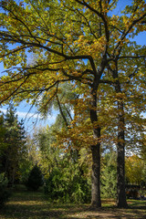 Obraz premium Allphotokz Square Astana 20191020 1962 D810