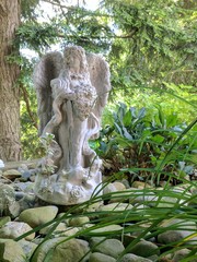 A walk in nature presents organic growth.
