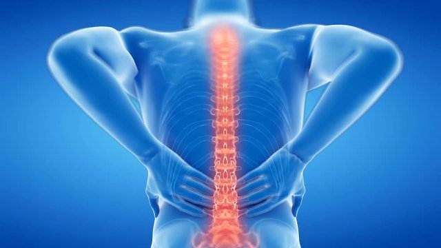 Human body showing spinal pain against a black background, animation.