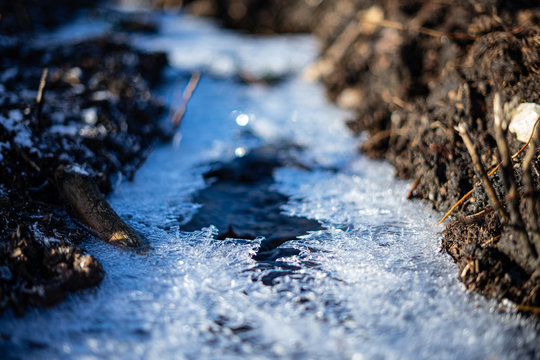 frozen