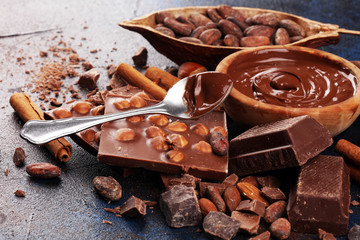 Chocolate bar pieces and melting swirl cocoa. Sweet food photo concept. The chunks of broken...