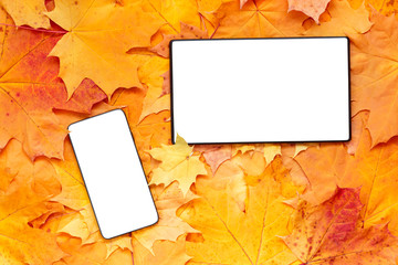 Smartphone and Digital tablet with isolated blank screen. Two mockups on autumn leaves background.