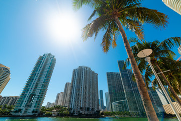 Skyscrapers in Miami Riverwalk on a sunny day