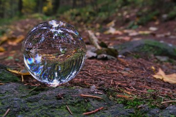 mit der glaskugel in den herbst