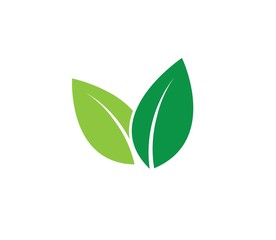 green leaves vector icon design on white background.