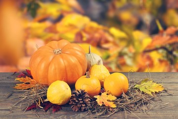 Pumpkin.