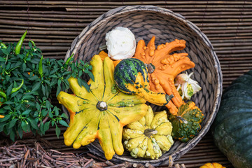 Autumn still life with assorted pumpkins, skwoshes, patty pan on rustic wooden background. Thanksgiving and Halloween concept, harvest, autumn colorful card