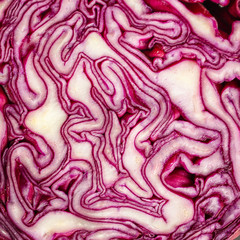 Obraz premium red cabbage, raw vegetables healthy salad (coleslaw, delicious snack or blue cabbage) menu concept. food background. copy space. Top view