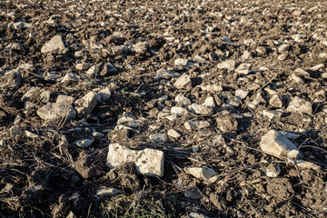 Landwirtschaft: Steiniger Acker