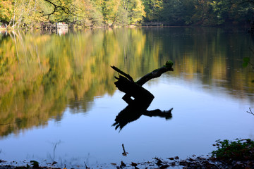beautiful reflection on Yedigoller lake in Turkey
