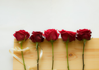 Five dark red roses on a wooden surface and white background