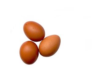 A group of brown eggs isolated on white background.