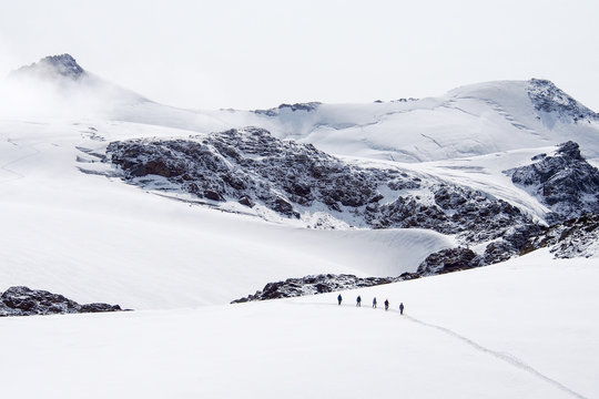 Seilschaft auf dem Gletscher des Cevedale in S&uuml;dtirol