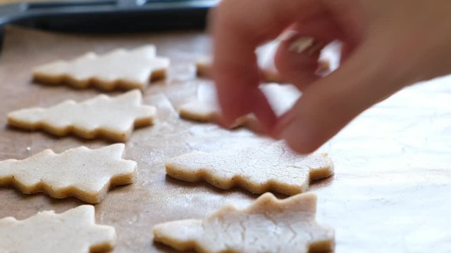 Making gingerbread cookies for Christmas