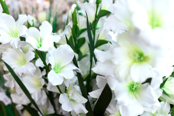 Bouquet of beautiful white lilies. Close up photo. Template for greeting card. Selective focus. 