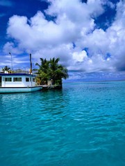 BOATS&PALMS @ MALDIVES