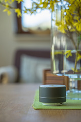 Smart ai speaker. Smart home concept