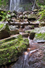Burgbachwasserfall im Schwarzwald