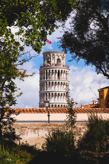 Tower of Pisa seen from the botanical gardens