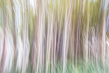 Intentional movement, background