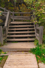 stairs in the park