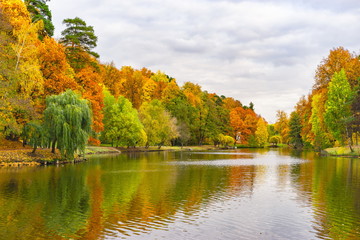 autumn in the park