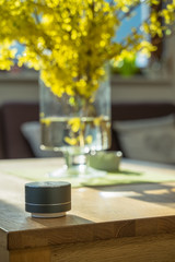 Smart ai speaker. Smart home concept