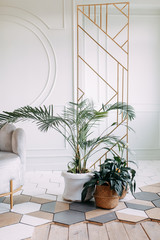  Dried flowers and vegetation in a modern interior. Interior decor in eco-style with greenery.