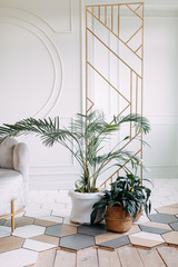 Dried flowers and vegetation in a modern interior. Interior decor in eco-style with greenery. © pavelvozmischev