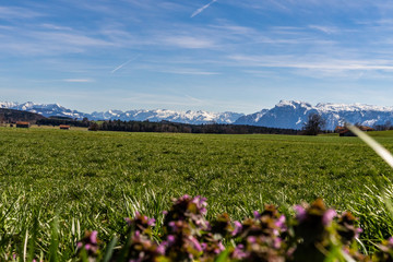 Obraz premium Beautiful view over the alps of Berchtesgadener Land Germany