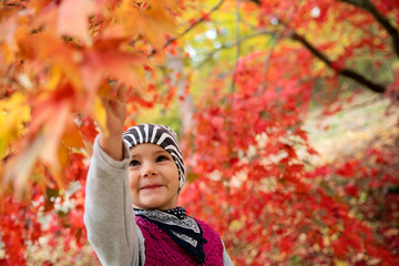 Cute smiling little girl in park autumn with colorful leaves on the tree. Outdoors with colors of fall in october and november.