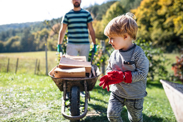 Unrecognizable father and toddler boy outdoors in summer, carrying firewood in wheelbarrow.