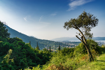 Sunny morning view of Kotor bay near Tivat from the road to abandoned village Gornja Lastva , Montenegro.