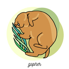 Sleeping gopher in a grass. Vector cartoon illustration