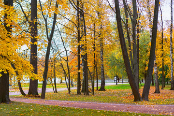 autumn in the park