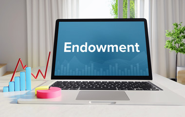 Endowment – Statistics/Business. Laptop in the office with term on the display. Finance/Economics.