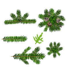 Obraz premium set vector branches in different position