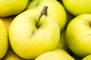 Freshly picked apples in a wooden crate. Big juicy apple, close-up. Macro. Freshly harvested. Great autumn background.