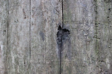 Fototapeta premium background
