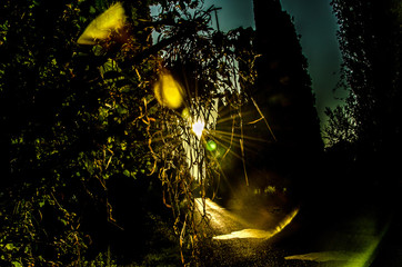 glare of light at dawn