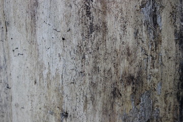 background,